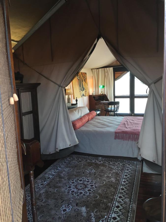 Out In Africa Wildlife Lodge Хамманскрал Экстерьер фото